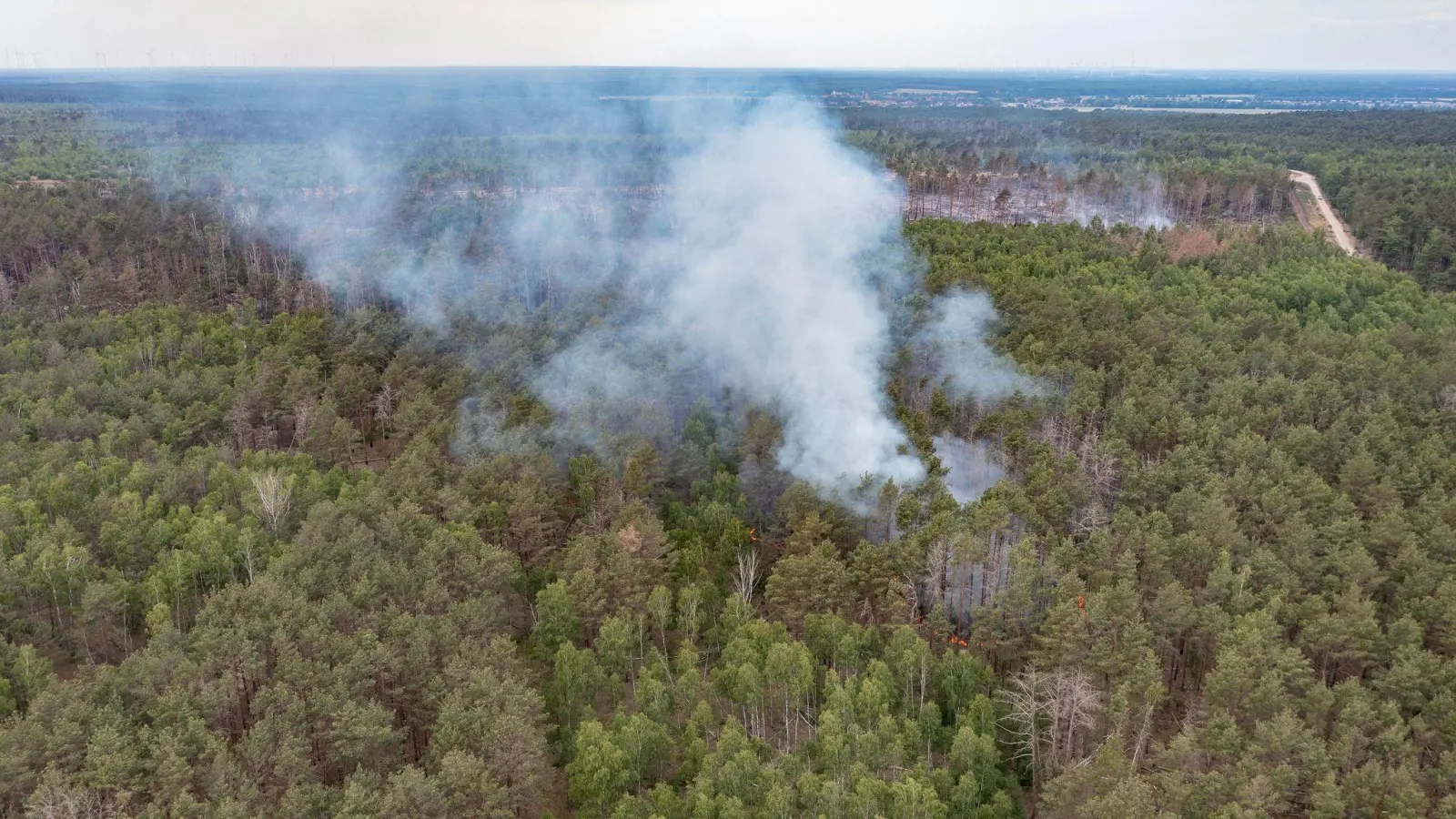 Eine Rauchwolke steht beim Waldbrand im Naturschutzgebiet bei Jüterbog über den Bäumen. (Foto: Paul Zinken/dpa)