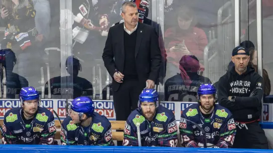 Die Eisbären Berlin um Cheftrainer Serge Aubin (M.) verpassten die Playoffs. (Foto: Andreas Gora/dpa)