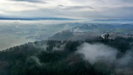 Nebel liegt über dem Wald bei Obereisenbach im Allgäu. Böden und Pflanzen speichern CO2 - es ist natürlicher Klimaschutz. (Foto: Felix Kästle/dpa)