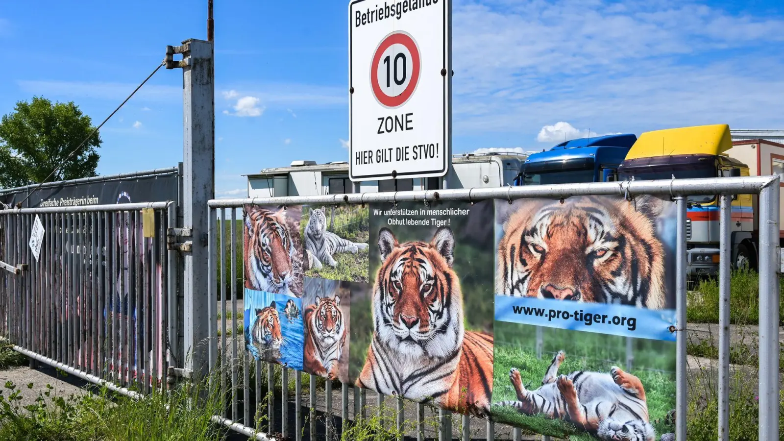 Polizei und Veterinäramt sind zu einem Einsatz ausgerückt. (Archivbild) (Foto: Heiko Rebsch/dpa)