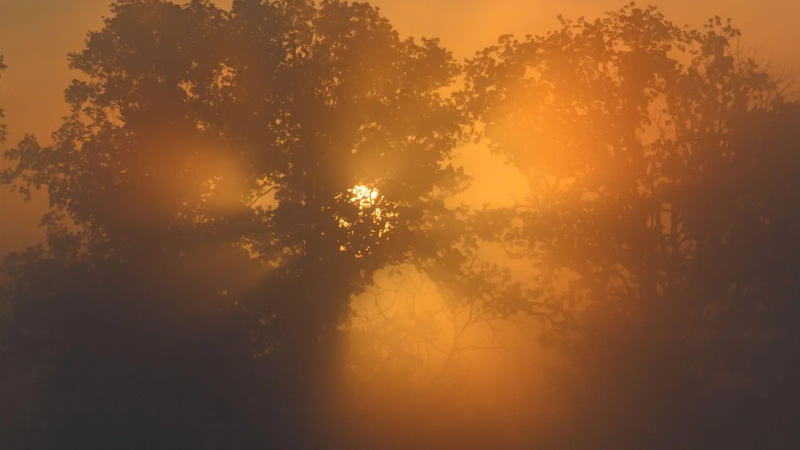Im Osten bleibt es noch warm und sonnig. (Foto: Patrick Pleul/dpa)