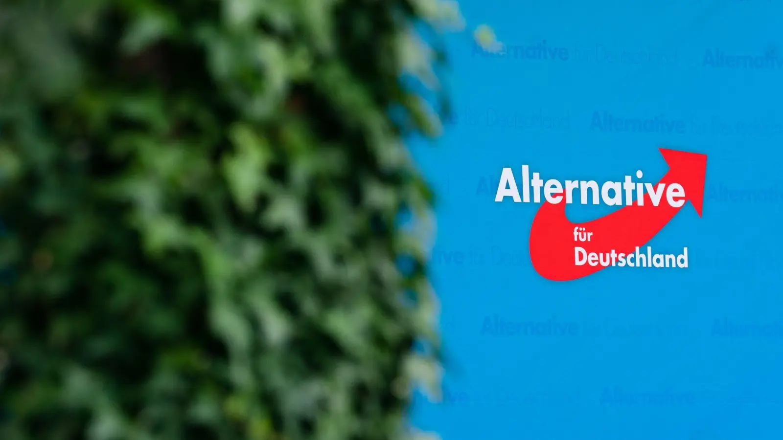 Die bayerische AfD wird als Gesamtpartei vom Verfassungsschutz überwacht. (Foto: Nicolas Armer/dpa)