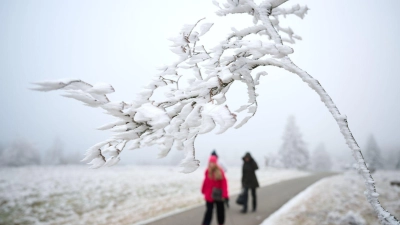 Schnee zu Weihnachten wird es nur vereinzelt geben. (Foto: Bernd Thissen/dpa)