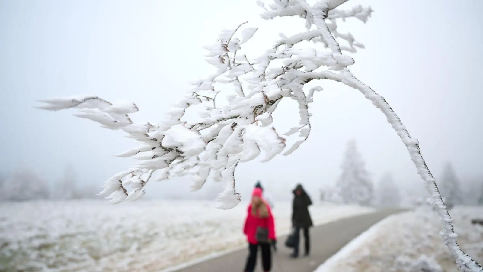 Schnee zu Weihnachten wird es nur vereinzelt geben. (Foto: Bernd Thissen/dpa)