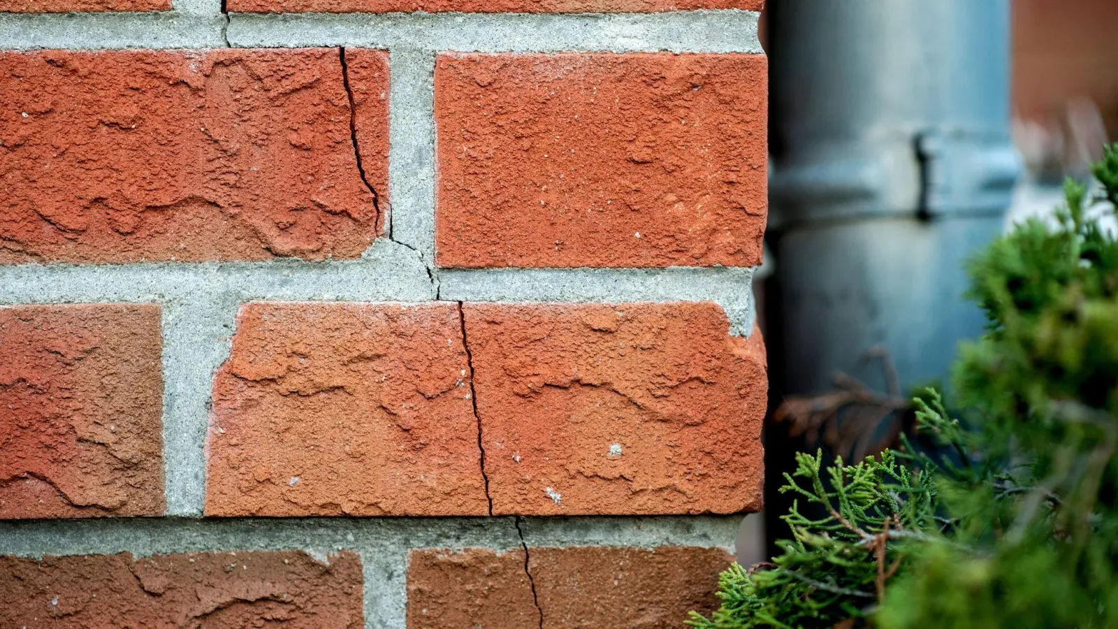 Frühjahrs-Check fürs Haus: Risse, Feuchtigkeit, Dach &amp; Dämmung im Blick behalten. (Foto: Hauke-Christian Dittrich/dpa/dpa-tmn)
