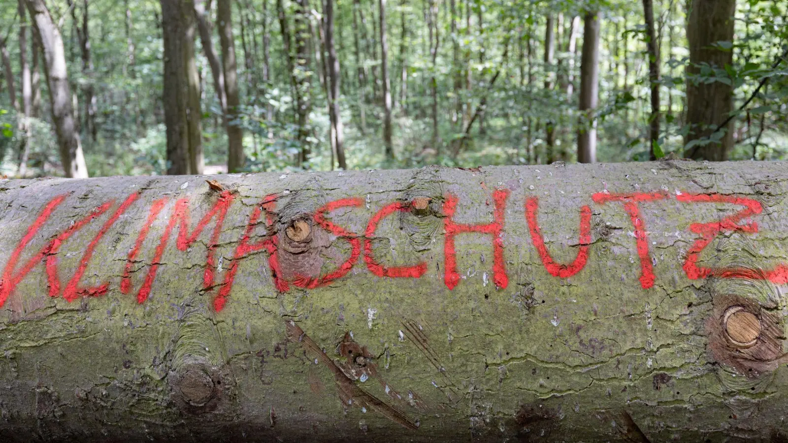 Die Studie basiert auf einer sozialwissenschaftlichen Langzeitbefragung in Deutschland. (Symbolbild) (Foto: Tim Würz/dpa)