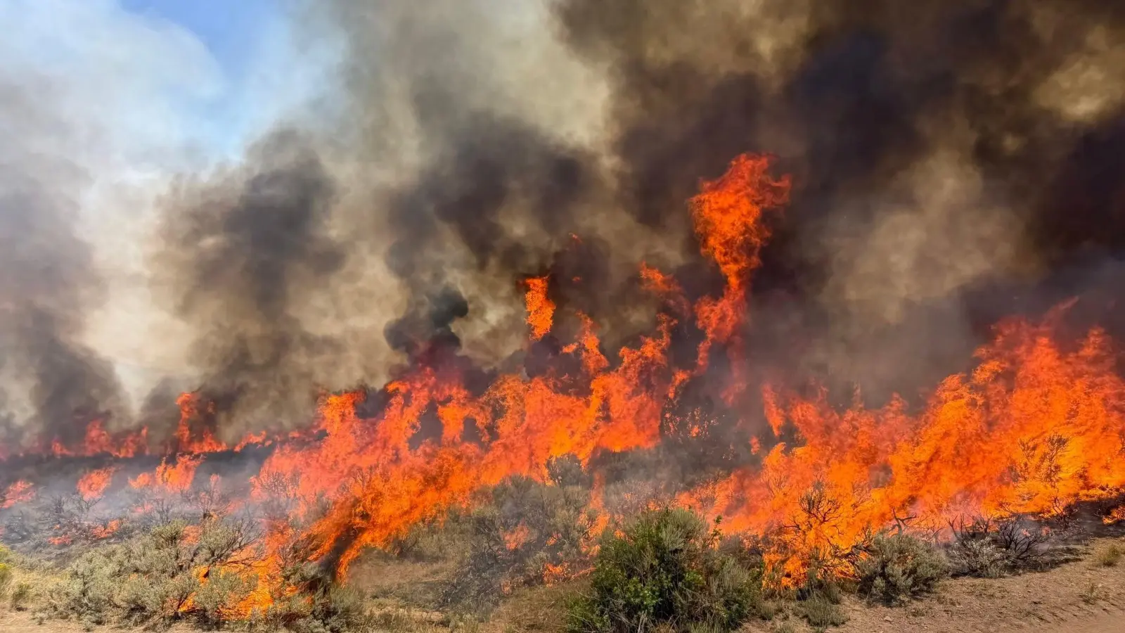 Derzeit brennt es vielerorts in Utah (Handout). (Foto: Uncredited/U.S. Forest Service/Fishlake National Fores/AP/dpa)