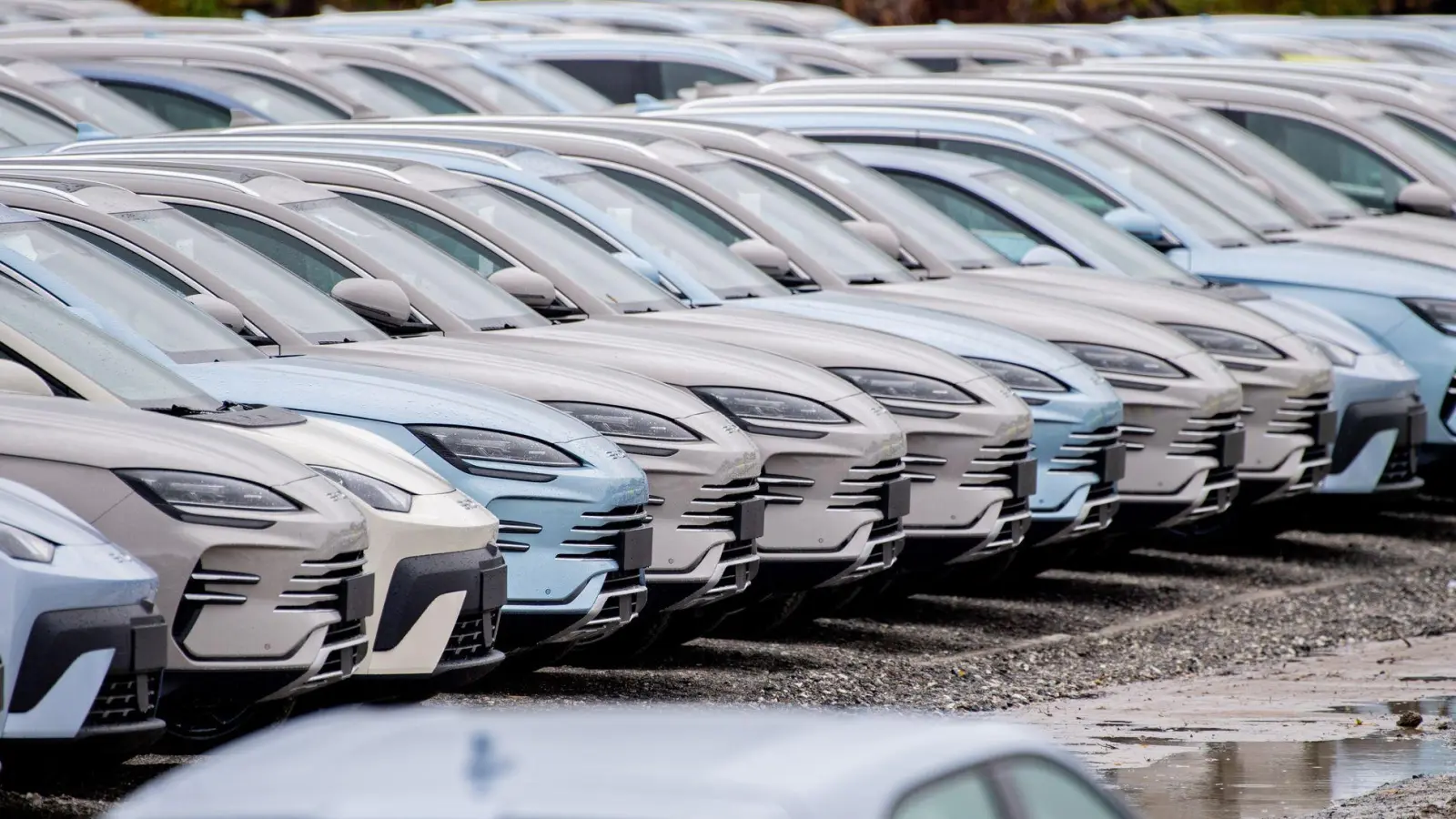 Der chinesische E-Auto-Hersteller BYD konnte seinen Absatz in Deutschland im Oktober erneut steigern. (Archivbild) (Foto: Hauke-Christian Dittrich/dpa)