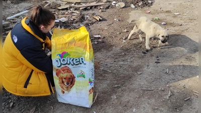 Wie für die Menschen ist auch für die Tiere in Göksun eine Welt zusammengebrochen. Julia Taschner füttert die verängstigten Kreaturen. (Foto: Ibrahim Özdemir)