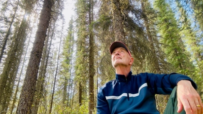 Allein unter stracken Koniferen: Da bleibt Zeit für nichts und alles. (Foto: Ole Helmhausen/dpa-tmn)