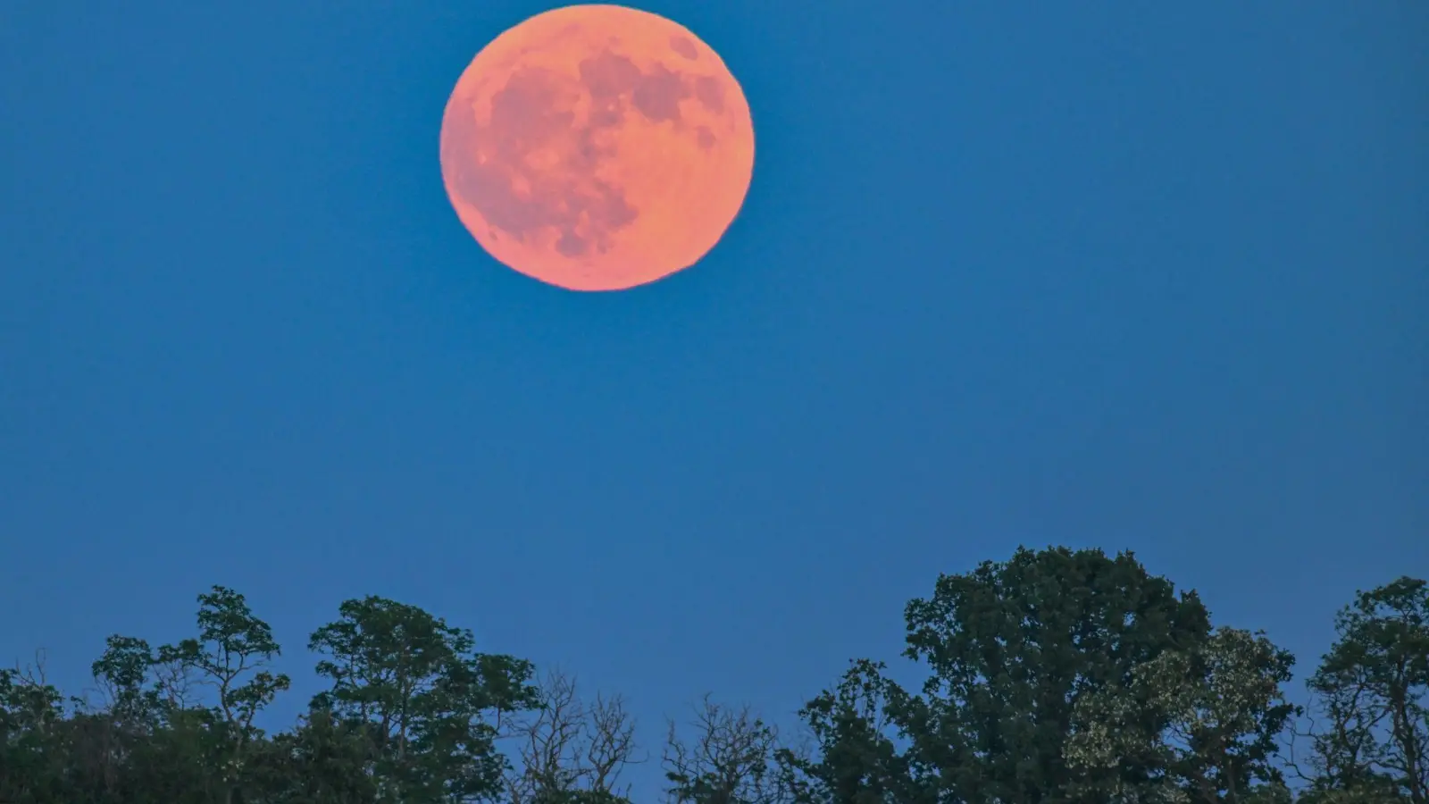 Blassroter Mond am Abendhimmel. (Archivbild) (Foto: Patrick Pleul/dpa)