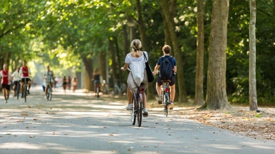 Stadtbäume sind „Alleskönner”: Sie speichern klimaschädliches Kohlendioxid, liefern Sauerstoff, kühlen und reinigen die Luft, spenden Schatten an heißen Tagen, dämpfen Umgebungslärm, beherbergen Eichhörnchen, Grünspecht und Co. und – sie tun uns einfach gut! (Foto: Misign/BN)