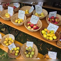 Infos gab es über viele Obstsorten, (Foto: Hans-Bernd Glanz)