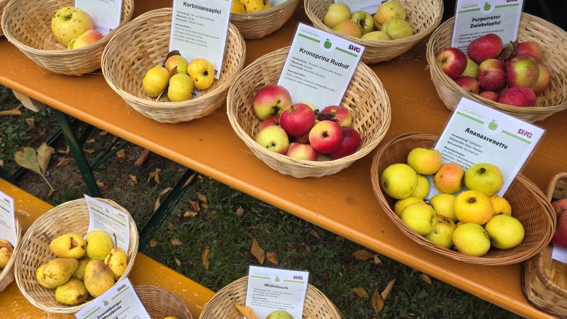 Infos gab es über viele Obstsorten, (Foto: Hans-Bernd Glanz)