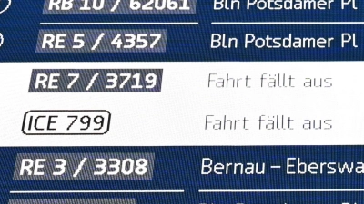 Im ersten Halbjahr sind rund 8 Prozent der Fernzüge der Deutschen Bahn ganz oder teilweise ausgefallen. (Archivbild) (Foto: Elisa Schu/dpa)