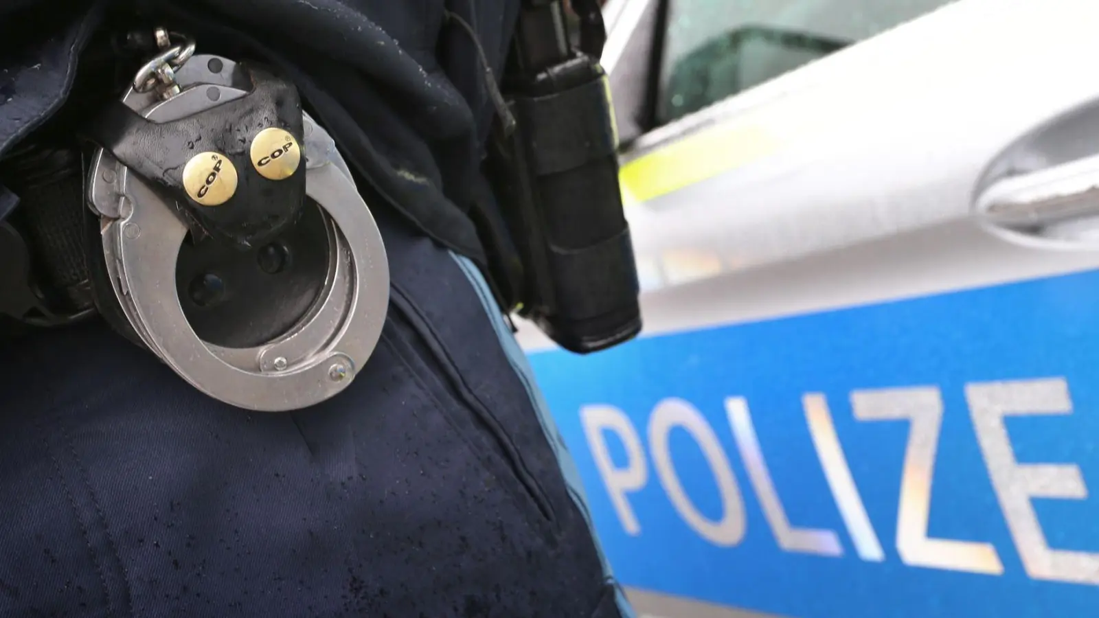 Die Männer kamen in verschiedene Justizvollzugsanstalten. (Symbolbild) (Foto: Karl-Josef Hildenbrand/dpa)