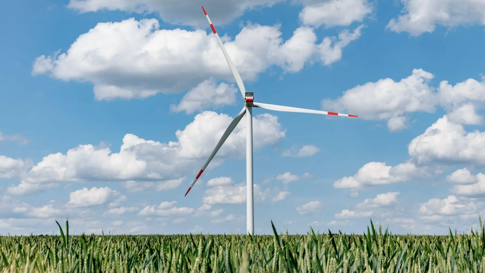Die Bundesnetzagentur hat sich für eine Strompreisreform mit niedrigeren Gebühren für Regionen mit viel Windkraft ausgesprochen. (Foto: Markus Scholz/dpa)