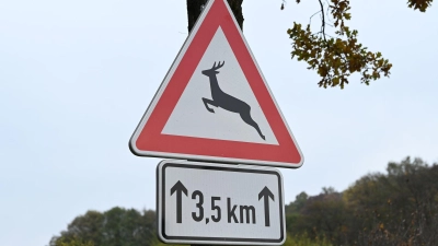 Der Rollerfahrer konnte nicht mehr ausweichen, als das Tier auf die Straße lief. (Symbolbild) (Foto: Swen Pförtner/dpa)