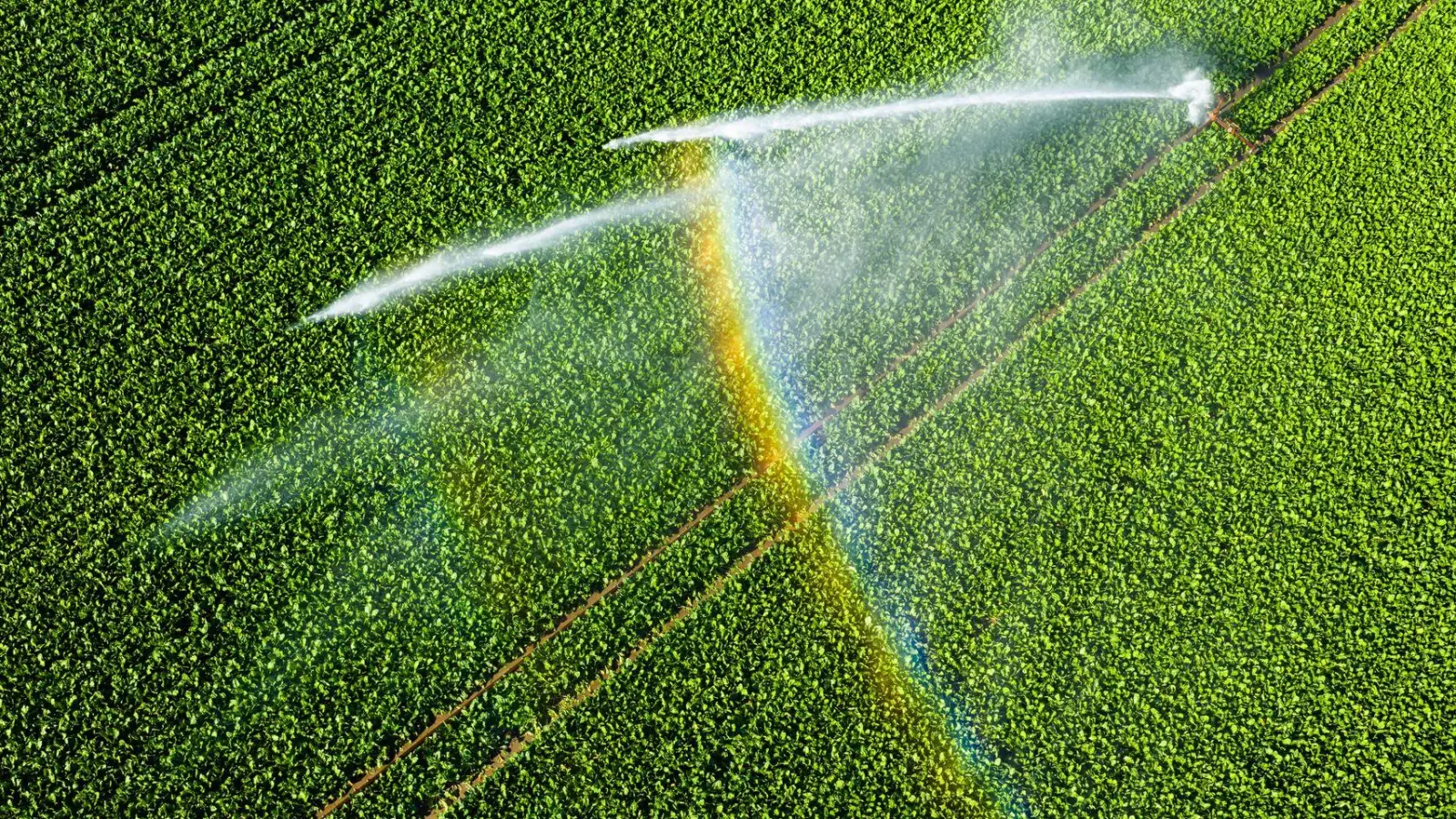 Bis zum Mittwoch steigen die Temperaturen in Deutschland.  (Foto: Julian Stratenschulte/dpa)