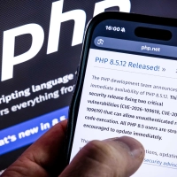 Angreifbare Webseiten sollten nach Ansicht eines Experten sofort abgeschaltet werden.  (Foto: Rob Engelaar/ANP/dpa)