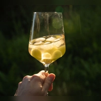 Cooling-Effekt: Geeiste Weintrauben und Eiswürfel aus Wein sorgen dafür, dass der Weißwein nicht verwässert. (Foto: Christin Klose/dpa-tmn)