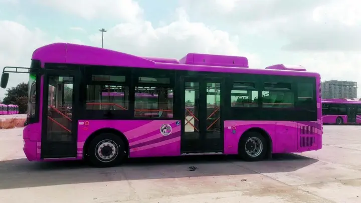 Ein pinkfarbener Bus auf einem Busparkplatz: Nur Frauen und Mädchen dürfen mitfahren. (Foto: Ppi/PPI via ZUMA Press Wire/dpa)