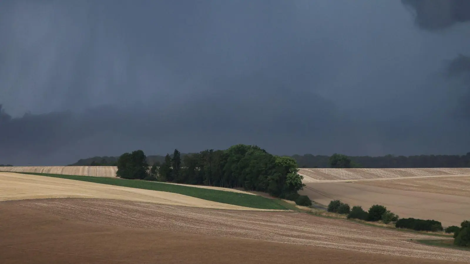 Gewitter und Regen werden vor allem im Süden und Osten Deutschlands erwartet. (Symbolbild) (Foto: Karl-Josef Hildenbrand/dpa)