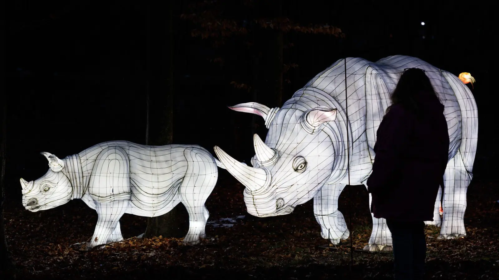 Beleuchtete Nashörner sind bei den „Zoo-Lights“ im Zoo Osnabrück zu sehen. Bei der Lichterausstellung werden mehr als 100 illuminierte Tierfiguren gezeigt. (Foto: Friso Gentsch/dpa)