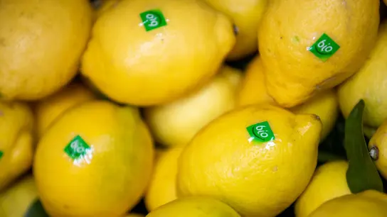 Zitronen mit dem Bio-Label. (Foto: Daniel Karmann/dpa/Symbolbild)
