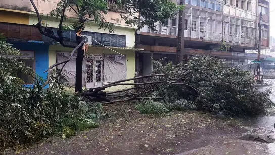 Umgefallene Bäume liegen auf einer Straße in Quelimane, Mosambik. Ein Tropensturm hat den Südosten Afrikas schwer getroffen. (Foto: Uncredited/AP)