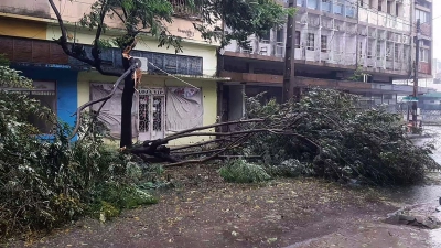Umgefallene Bäume liegen auf einer Straße in Quelimane, Mosambik. Ein Tropensturm hat den Südosten Afrikas schwer getroffen. (Foto: Uncredited/AP)