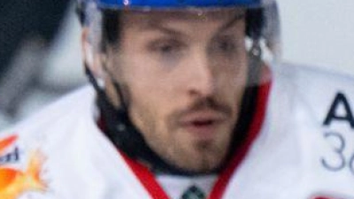 Nach zuletzt wenig Zeit auf dem Eis verlässt Luca Tosto (l) die Panther. (Foto: Sven Hoppe/dpa)