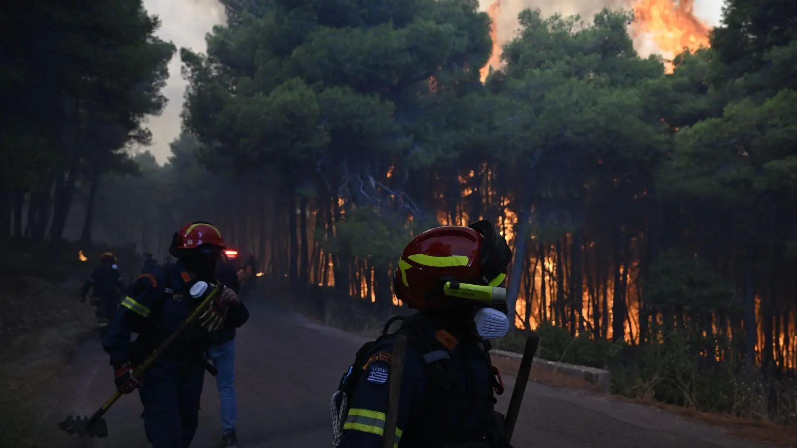Aus der Luft gibt es wegen stürmischer Winde keine Hilfe - die Feuerwehrleute sind am Boden auf sich gestellt. (Foto: Michael Varaklas/AP/dpa)
