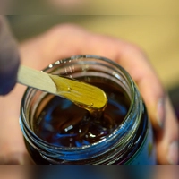 Waldhonig wird auch Honigtauhonig genannt, da die Bienen den sogenannten Honigtau sammeln und in den Waben zu dunklem, aromatischem Honig verarbeiten (Foto: Klaus-Dietmar Gabbert/dpa-tmn/dpa)