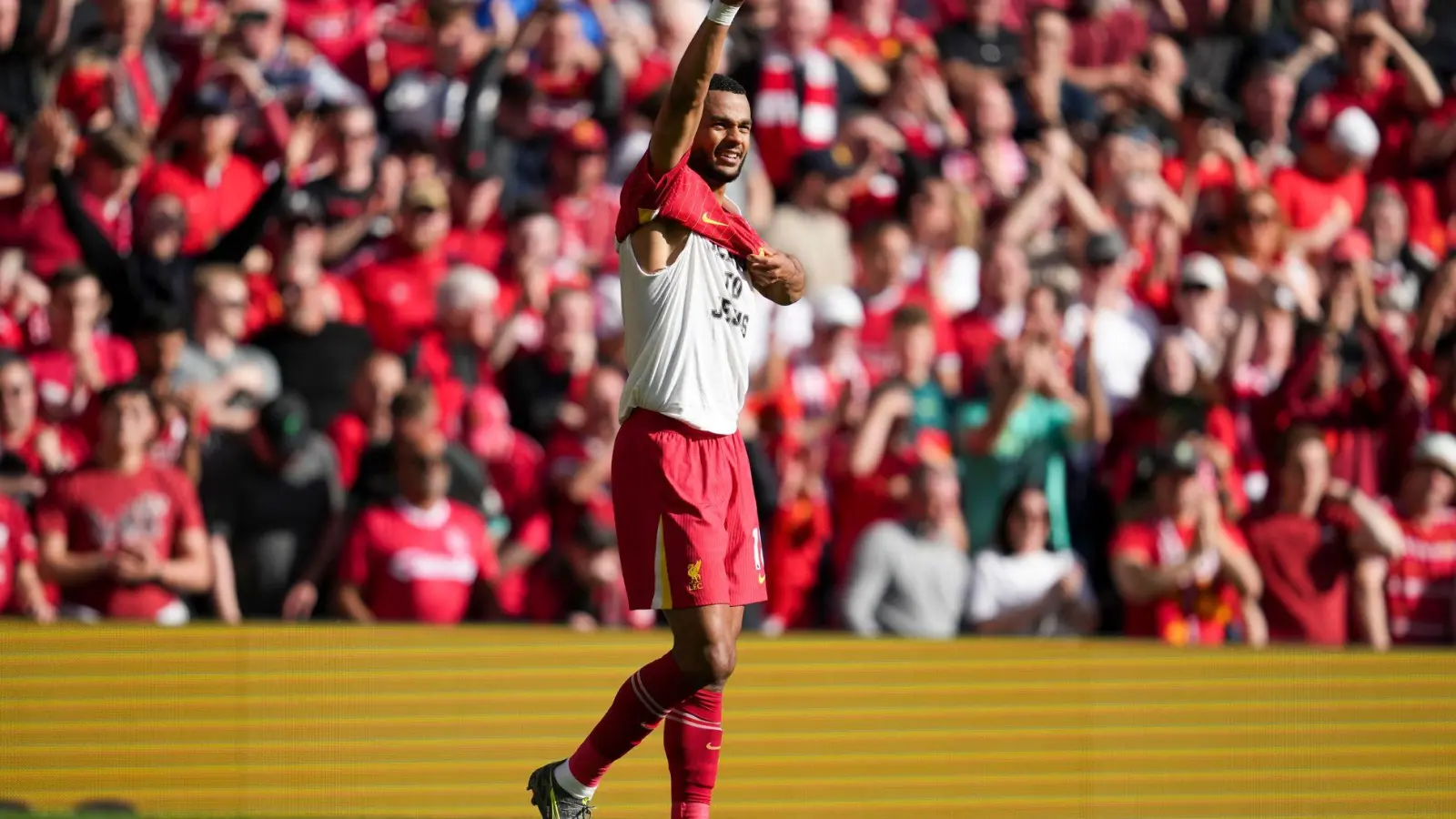 Verstärkt er die Bayern-Offensive? Cody Gakpo wird gehandelt. (Foto: Jon Super/AP/dpa)