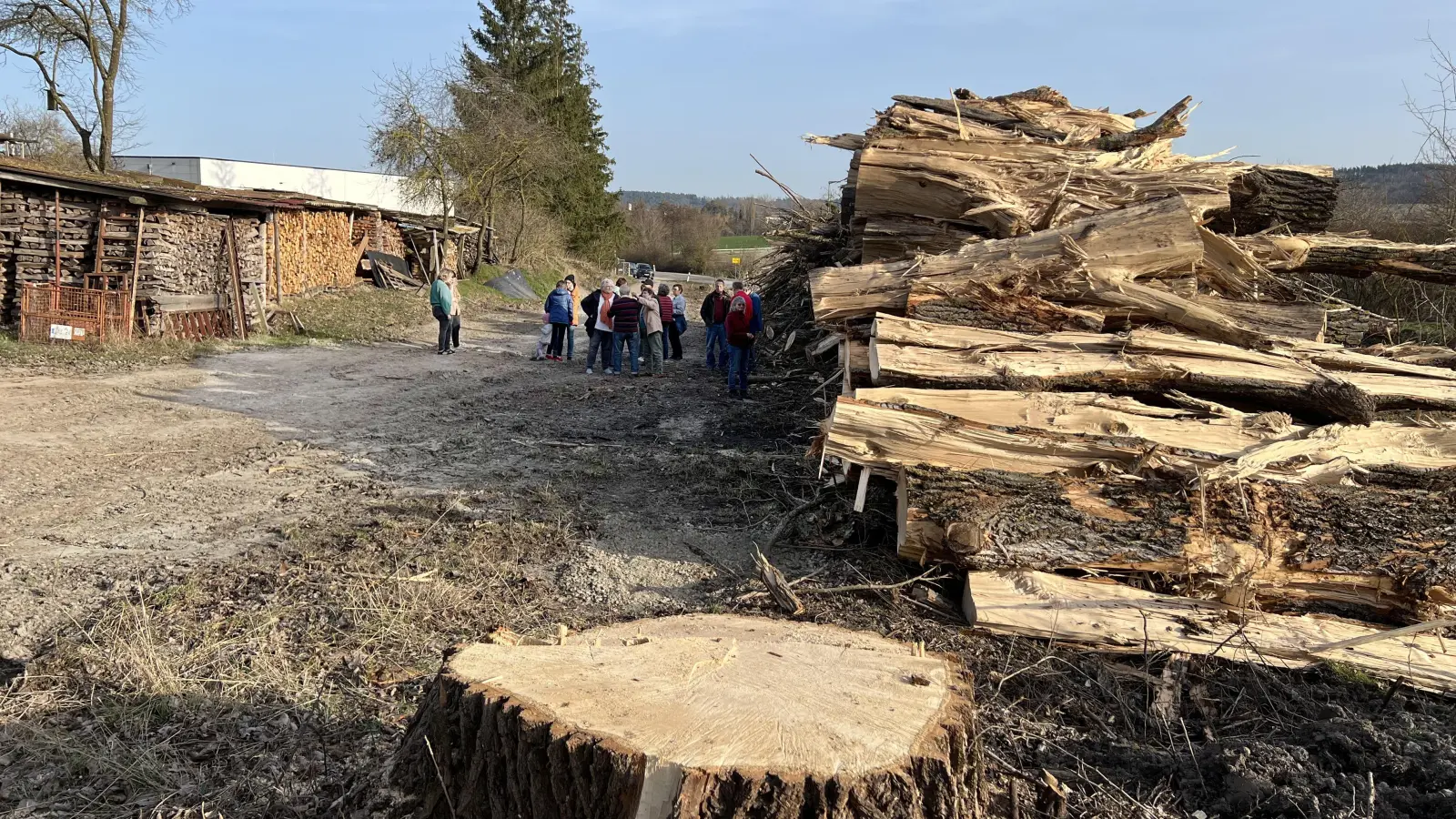 Trauer und Ärger über die gefällten Pappeln an der Kreisstraße: Zu einem nicht öffentlich angekündigten Ortstermin mit Bürgermeister Reiner Hufnagel und Marktgemeinderätin Barbara Stadlinger kamen spontan rund 20 Personen. (Foto: Yvonne Neckermann)