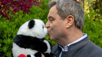 Markus Söder hat als Gastgeschenk einen Panda-Plüschbären bekommen. (Foto: Peter Kneffel/dpa)