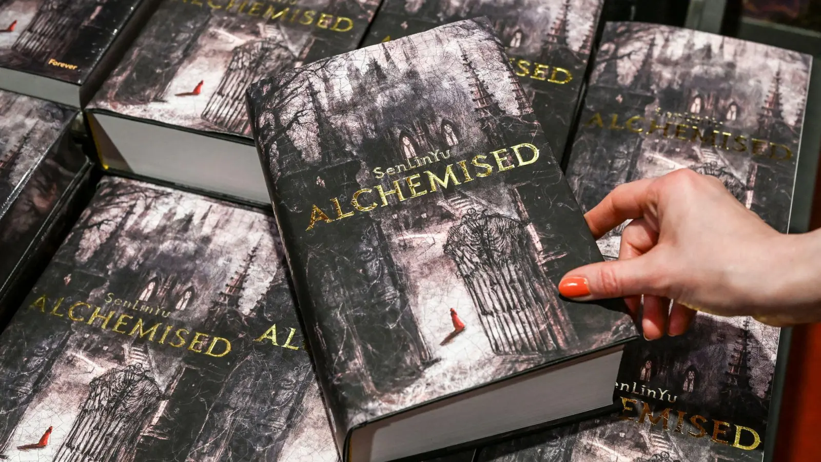 „Alchemised“ von SenLinYu stand mehrere Wochen auf Platz 1 der Bestseller-Liste. (Foto: Jens Kalaene/dpa)
