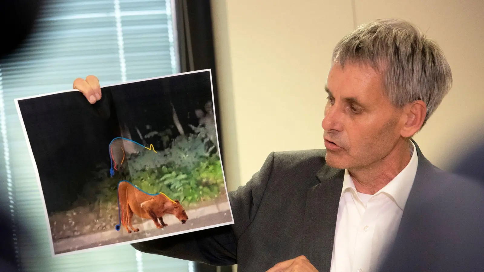 Kleinmachnow-Bürgermeister Michael Grubert erklärt anhand von Fotos, weshalb es sich bei dem gesuchten Raubtier um keine Löwin handelt. (Foto: Paul Zinken/dpa)