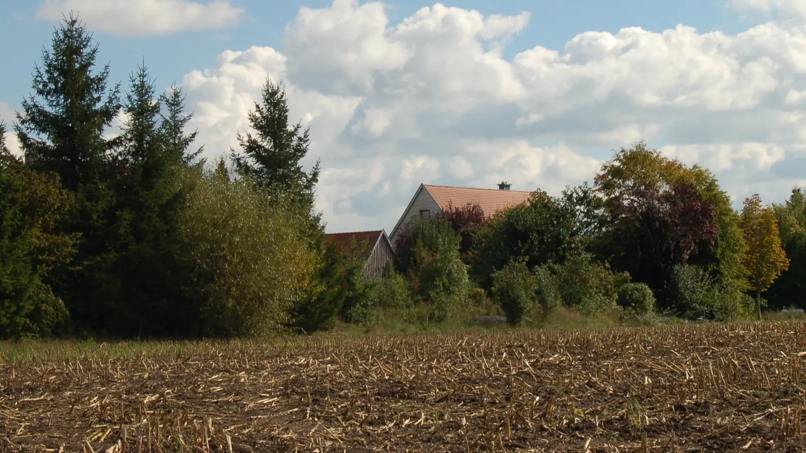 Im Westen des Dinkelsbühler ortsteils Segringen soll an die bestehende Schellenheckfeld-Siedlung ein weiteres Wohngebiet entstehen. An dem Projekt scheiden sich die Geister. (Foto: Markus Weinzierl)