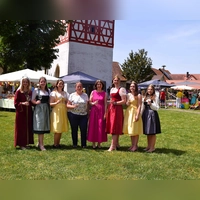 Rund um den Dorfplatz und im Ort verteilt gab es viele Stationen und Angebote. Anke Gümpelein (Vierte von rechts), Alisa Falk (Dritte von rechts) und Eva Bauer (Fünfte von rechts) eröffneten im Beisein von Hoheiten das „Wein &amp; Honig-Fest“.  (Foto: Gerhard Krämer)