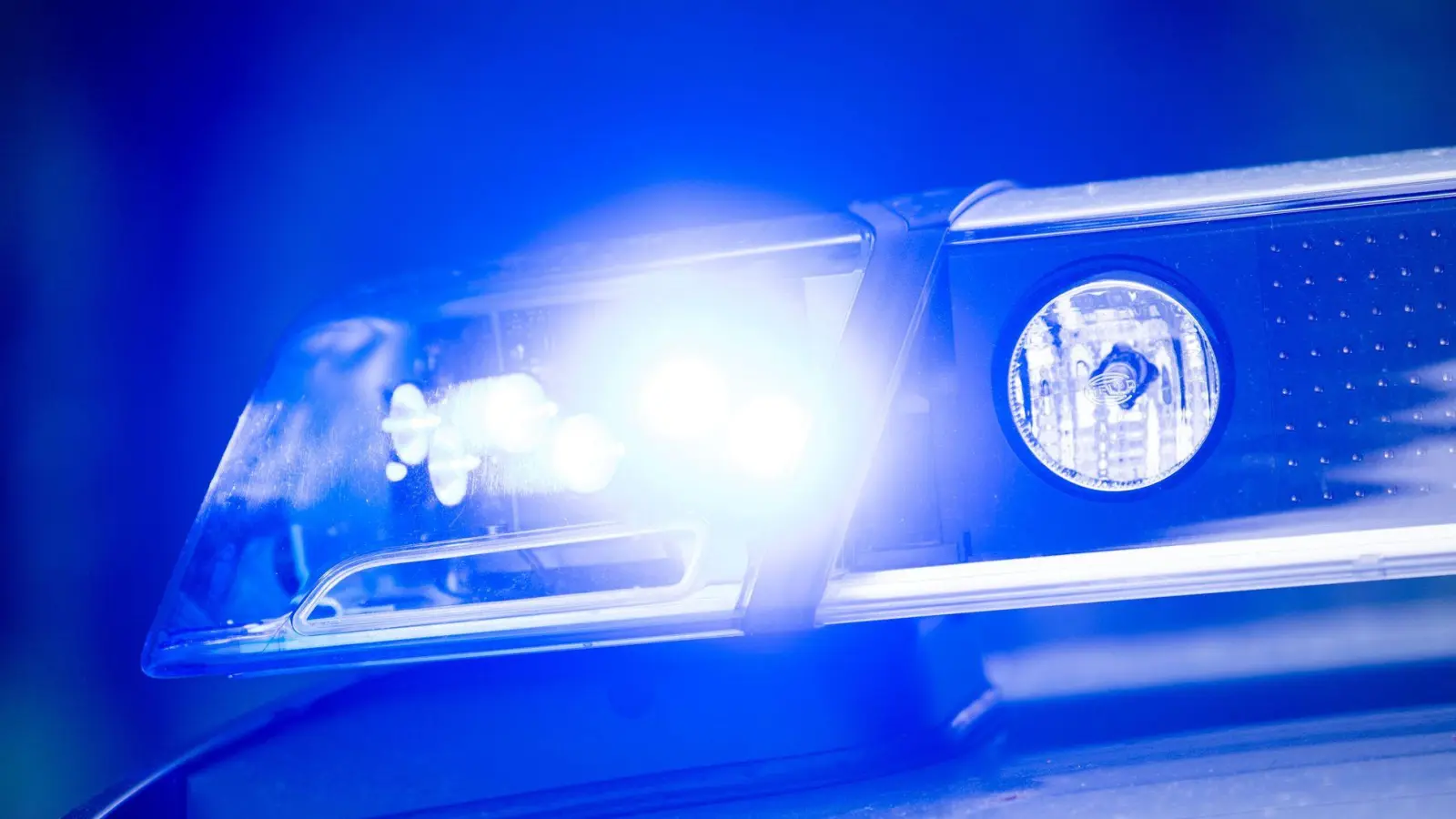 Laut Polizei hatte ein Verkehrsteilnehmer die entlaufenen Kühe bei der Polizei gemeldet. (Symbolbild) (Foto: Lino Mirgeler/dpa)