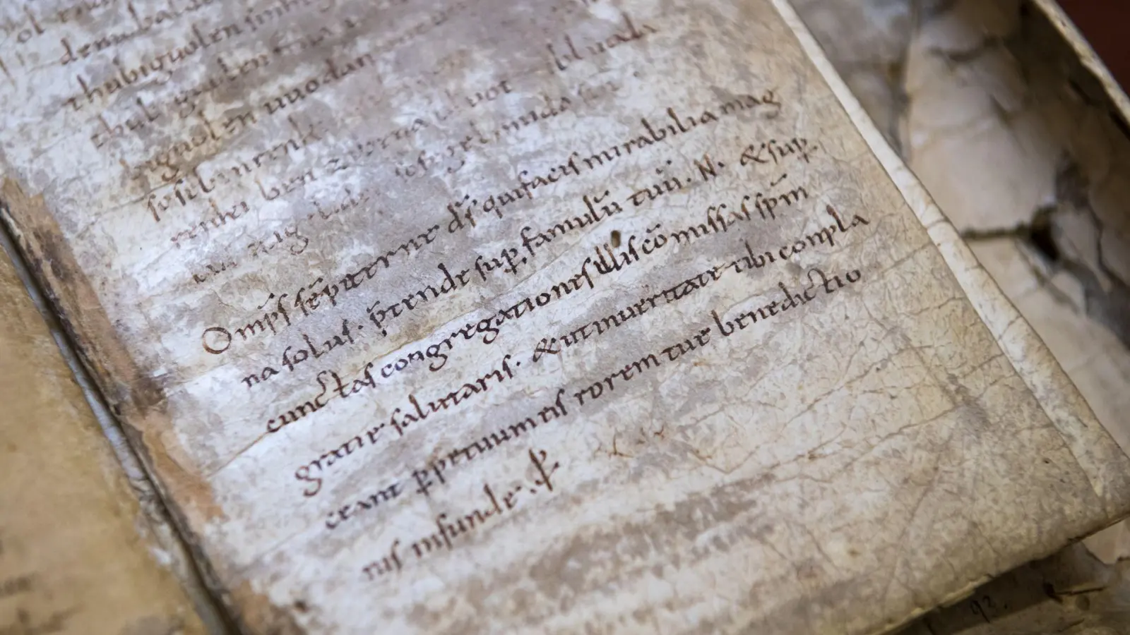 Im Internet werden zahlreiche Zauber angeboten. (Archivbild) (Foto: Hendrik Schmidt/dpa-Zentralbild/ZB)