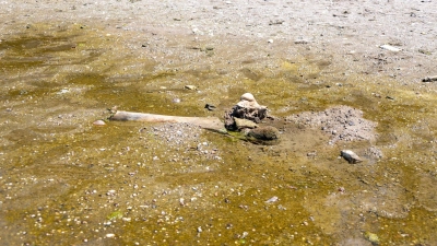 Hitze enthüllt Mammut-Unterkiefer in bulgarischem Donaudorf (Foto: ---/Regionales Geschichtsmuseum Russe an der Donau/dpa)