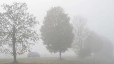 Die nächsten Tage bleibt es nebelig-trüb im Freistaat. (Symbolbild) (Foto: Stefan Puchner/dpa)