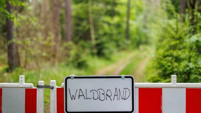 Wieder brennt ein Waldstück - dieses Mal bei Schnaittenbach in der Oberpfalz. (Symbolbild) (Foto: Daniel Karmann/dpa)