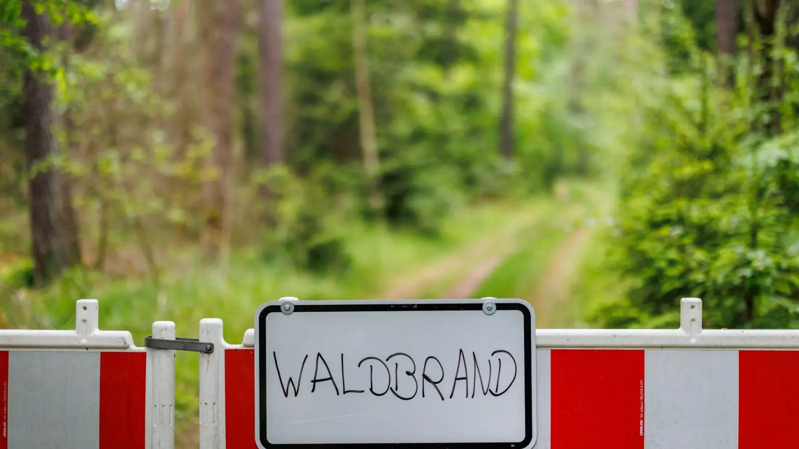 Wieder brennt ein Waldstück - dieses Mal bei Schnaittenbach in der Oberpfalz. (Symbolbild) (Foto: Daniel Karmann/dpa)