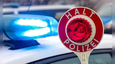 Die Polizei entdeckt die vier Welpen bei einer Kontrolle auf der A3. (Symbolbild) (Foto: Jan Woitas/dpa)