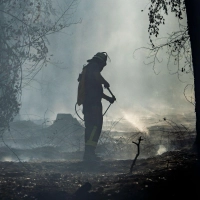Feuerwehrleute kämpfen gegen einen  Waldbrand in Hessen knapp vor der bayerischen Grenze.   (Foto: Andreas Arnold/dpa)