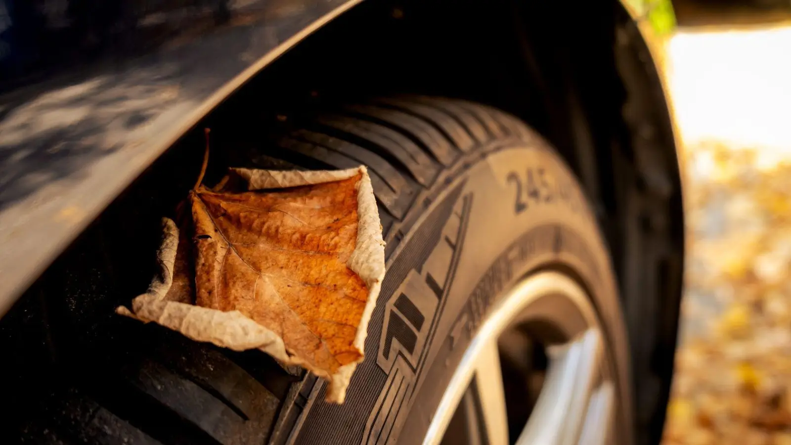 Ganzjahresreifen ersparen den saisonalen Reifenwechsel und sind besonders in gemäßigten Klimazonen praktisch. (Foto: Zacharie Scheurer/dpa-tmn)